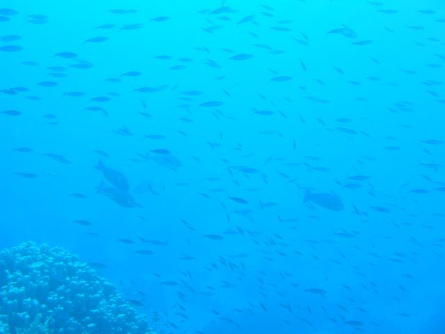 PB120159