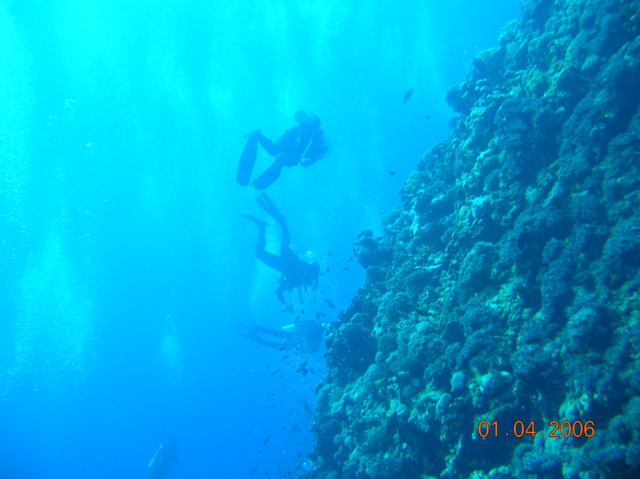 DSCN0670