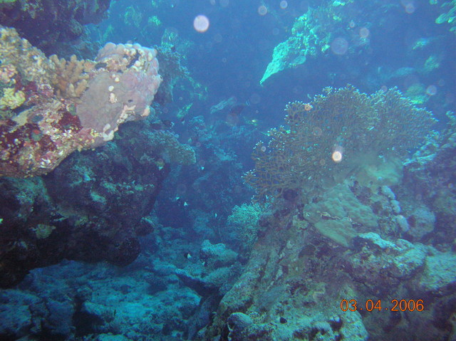 DSCN0742