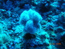 DSCN0777