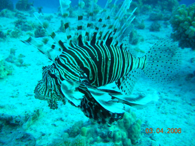 DSCN0823