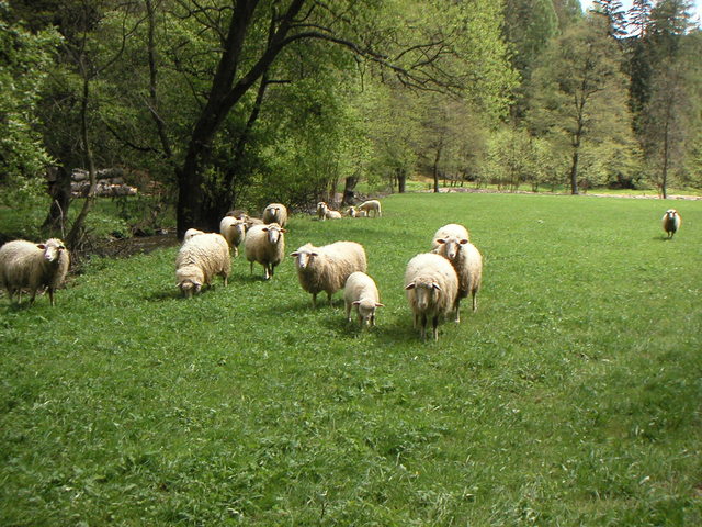 pict0006