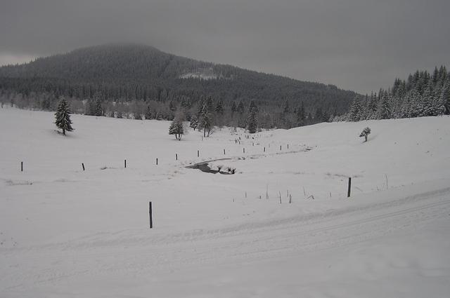 p1013260