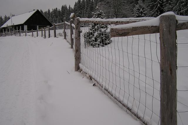 p1013274