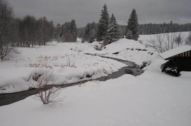 p1013289