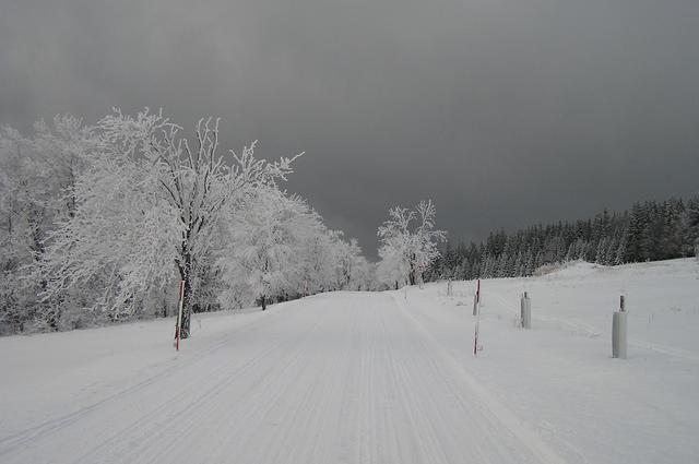 p1013293