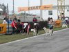 PB160013.jpg